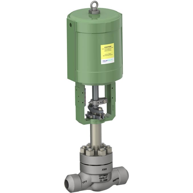 Trimteck OpGL Globe Control Valve 3d rendering